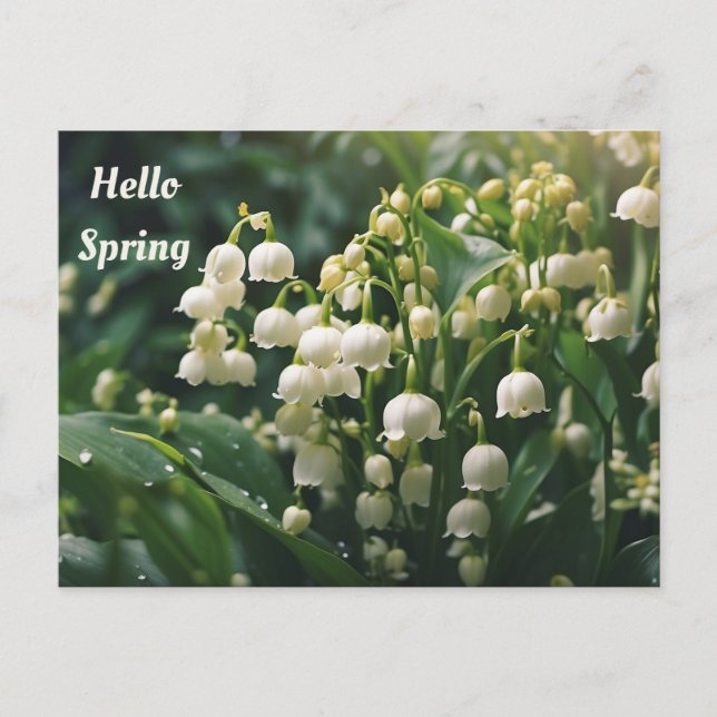Cartão Postal Olá Lírios do Vale Flores da Primavera (Frente)