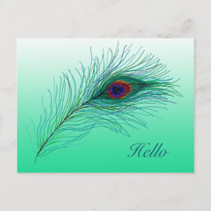 Cartão Postal Olá, mantendo contato com penas de peacock