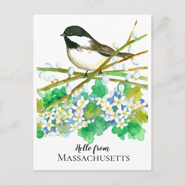 Cartão Postal Olá, Massachusetts Chickadee Mayflower (Frente)