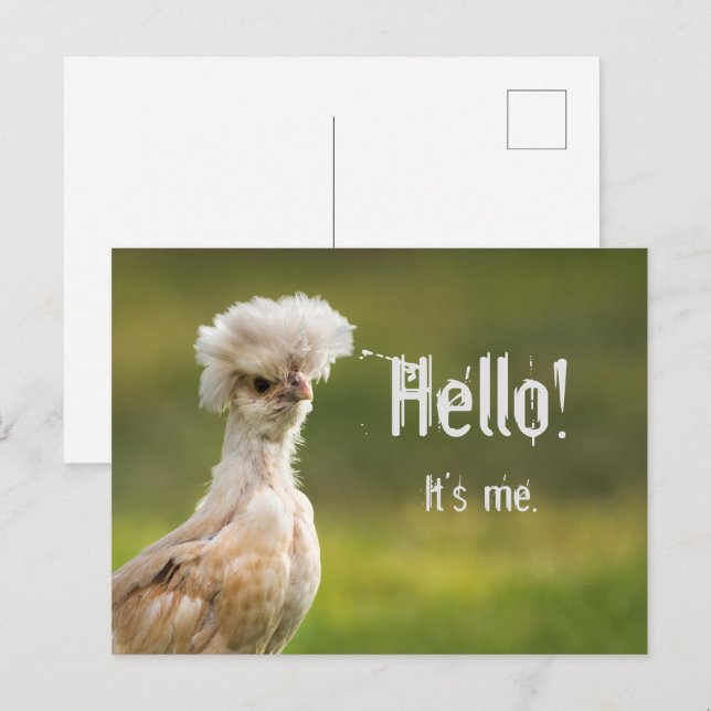 Cartão Postal Olá Mensagem Personalizada Frango Polonês Zazzle - Main Image