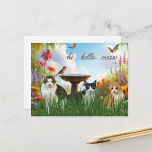 Cartão Postal Olá Meow Gatos no Jardim Animal Fofo