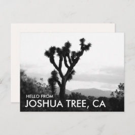 Cartão Postal Olá moderno em preto e branco de Joshua Tree