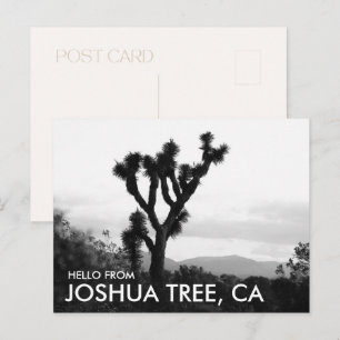Cartão Postal Olá moderno em preto e branco de Joshua Tree