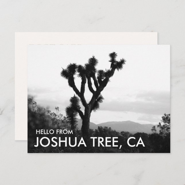 Cartão Postal Olá moderno em preto e branco de Joshua Tree (Frente/Verso)