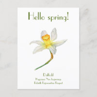 Olá, primavera daffodil, com significado