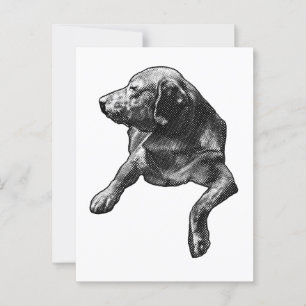 Cartão Postal Olá Rápido com Pontos Finos