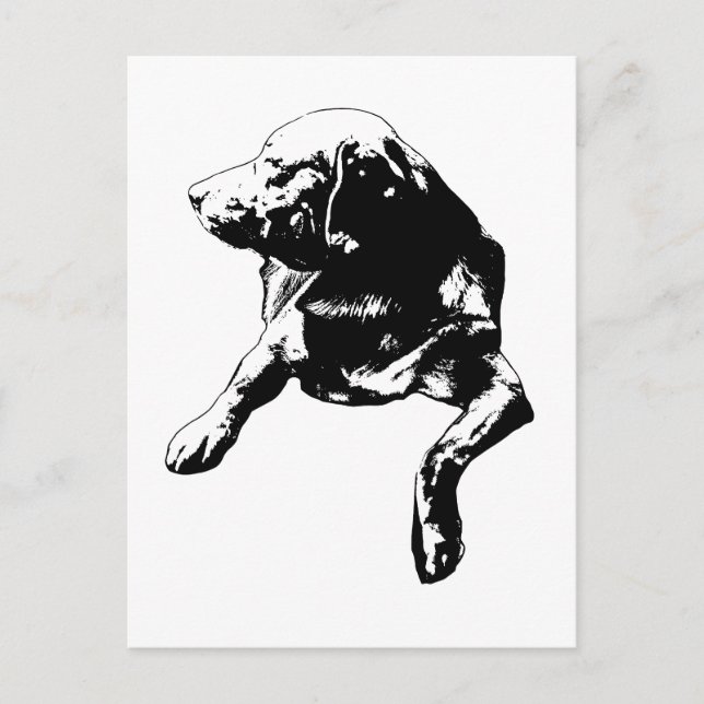 Cartão Postal Olá Rápido, Laboratório de Vias Laterais (Frente)