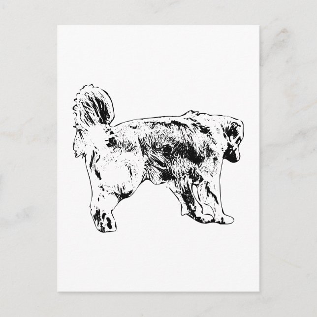 Cartão Postal Olá Rápido, Ouro Retriever (Frente)