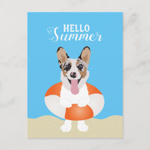 Cartão Postal Olá Summer Corgi Beach Dogs