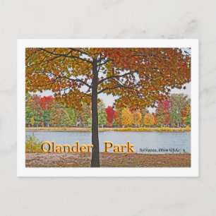 Cartão Postal Olander Park, Sylvania, Ohio USA/Colunas do outono