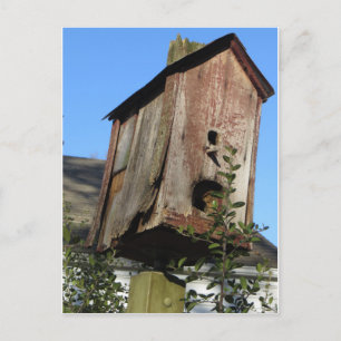 Cartão Postal Old Bird House