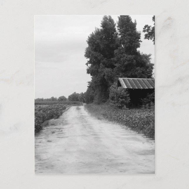 Cartão Postal Old Building Barn na Carolina do Norte (Frente)