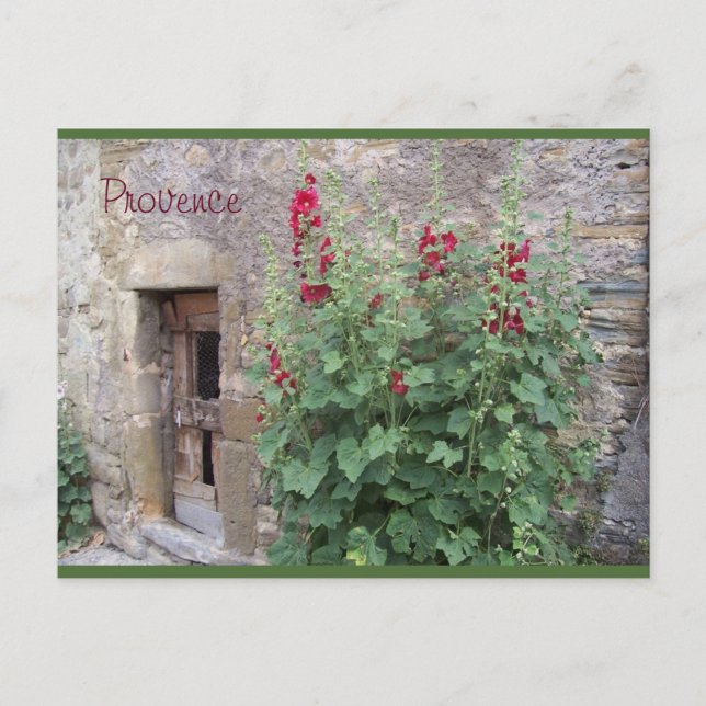 Cartão Postal Old door with red honeysuccle , Provence postcard (Frente)