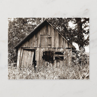 Cartão Postal Old Farm Shed