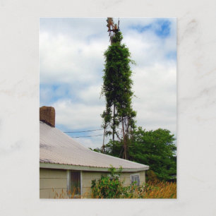 Cartão Postal Old Farmstead