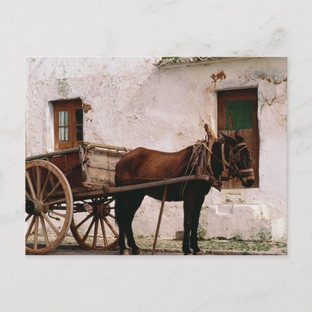 Cartão Postal Old-fashioned horse-drawn cart (Frente)