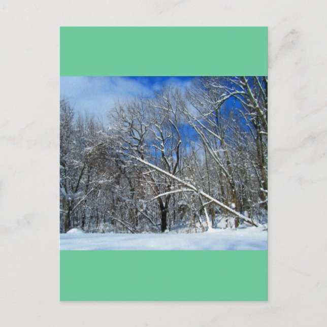 Cartão Postal Óleo de Árvores de Nevasca (Frente)