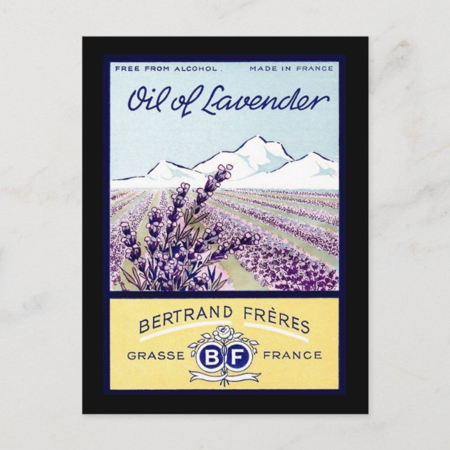 Cartão Postal Óleo de Lavanda - Grasse França (Frente)