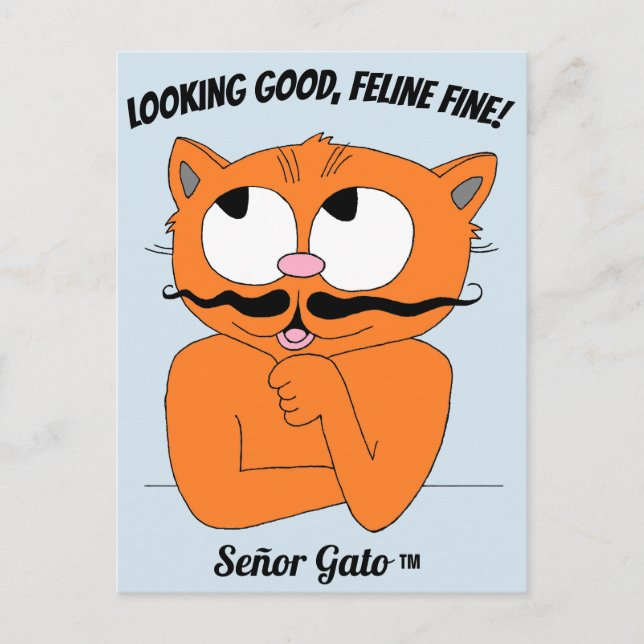 Cartão Postal "OLHANDO BEM, FELINO FINE!" Gato Bigode Fofo (Frente)