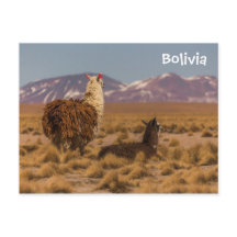 Olhando para o futuro