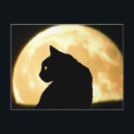 Cartão Postal Olhando para trás Gato Negro e Lua Cheia<br><div class="desc">Verifique meu perfil para mais lojas de diversão</div>