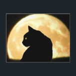 Cartão Postal Olhando para trás Gato Negro e Lua Cheia<br><div class="desc">Verifique meu perfil para mais lojas de diversão</div>