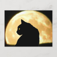 Olhando para trás Gato Negro e Lua Cheia