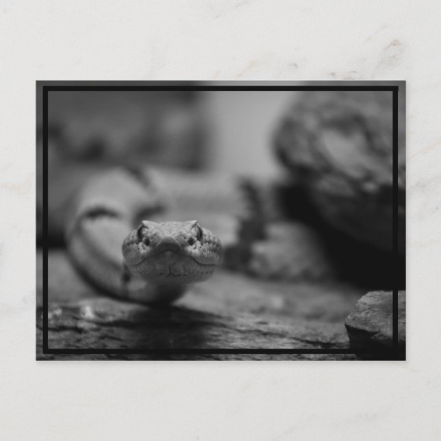 Cartão Postal olhando para você! (Frente)