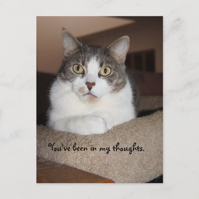 Cartão Postal Olhar do Mikey (Frente)