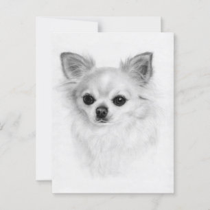 Cartão Postal Olhar Gentil - Arte de Chihuahua Pintada à Mão
