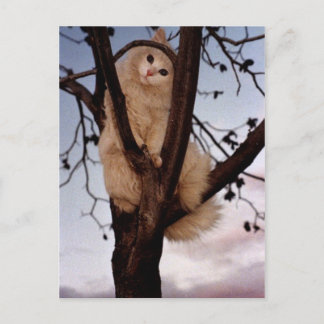 Cartão Postal Olhe para mim!