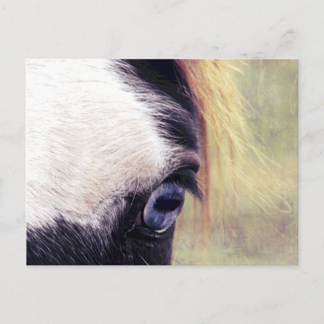 Cartão Postal Olho Azul (Frente)