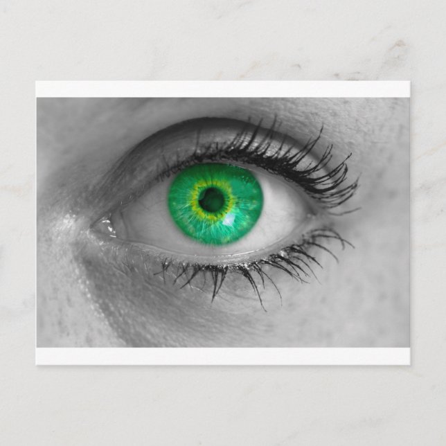Cartão Postal Olho com íris verde olha para a macro do conceito  (Frente)