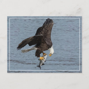 Cartão Postal Olho Para Olho