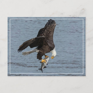 Cartão Postal Olho Para Olho