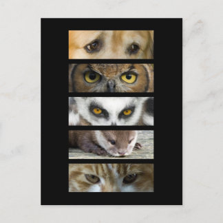 Cartão Postal - Olhos Animais