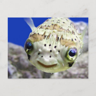 Cartão Postal Olhos azuis grandes