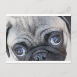 Cartão Postal Olhos de Doobie