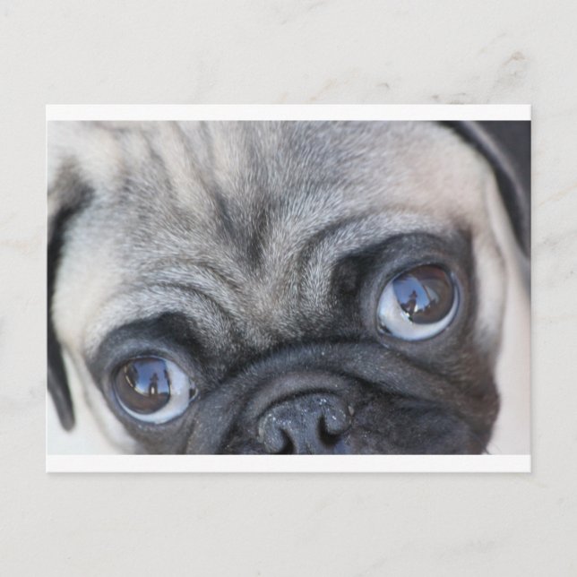 Cartão Postal Olhos de Doobie (Frente)