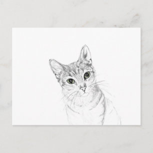 Cartão Postal Olhos de Gato Desenho a Lápis