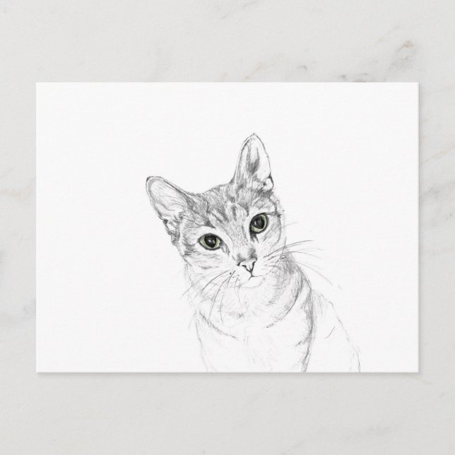 Cartão Postal Olhos de Gato Desenho a Lápis (Frente)