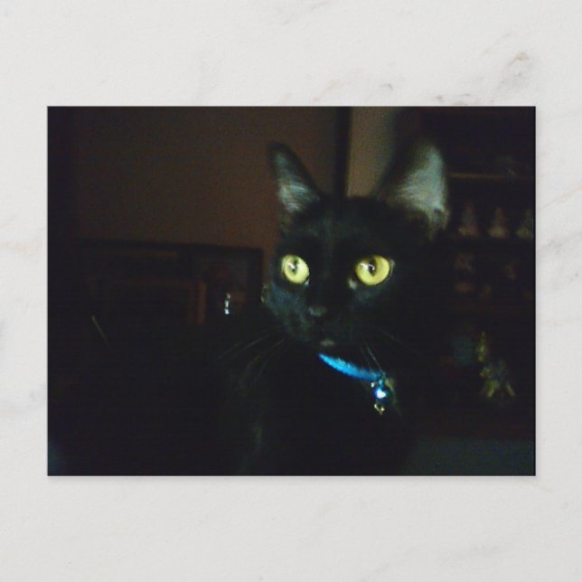 Cartão Postal Olhos de Halloween (Frente)