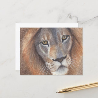 Cartão Postal Olhos de Leão