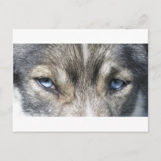 Cartão Postal Olhos de Odin