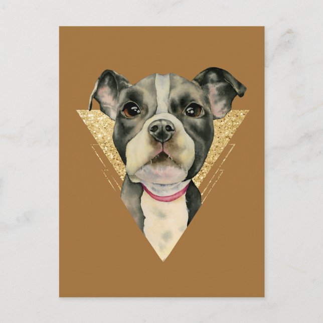 Cartão Postal "Olhos De Puppia" Pit Bull Cachorro Moleração 3 (Frente)