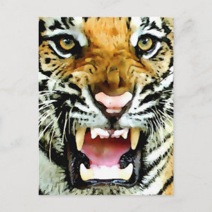 Cartão Postal Olhos de Tigre