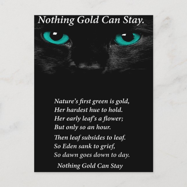 Cartão Postal Olhos Fixos (Frente)