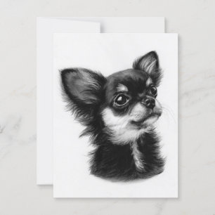 Cartão Postal Olhos Inocentes - Pintado Mão Pintado Chihuahua Pu