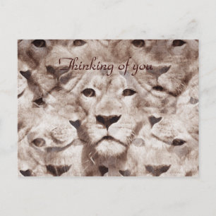 Cartão Postal Olhos maravilhosos_