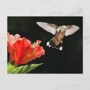 Cartão Postal Olhos no Prêmio